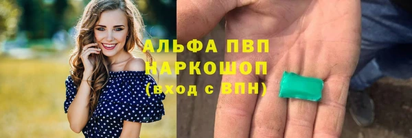 стафф Белокуриха