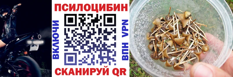 Псилоцибиновые грибы Magic Shrooms  купить закладку  Кущёвская 