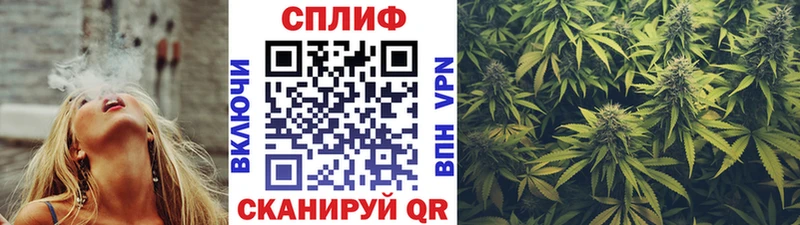 Конопля SATIVA & INDICA  Кущёвская 